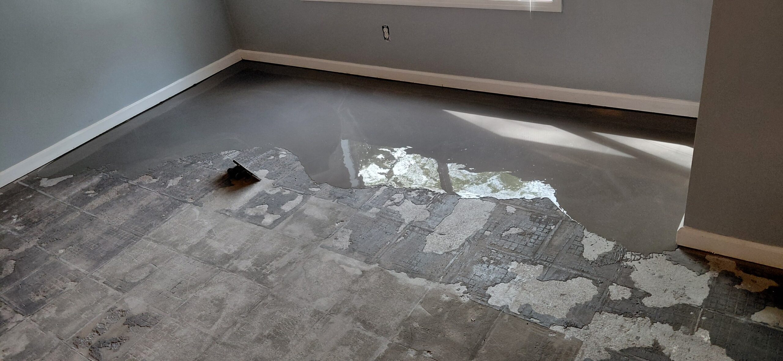 fa5fb6db-aa1e-4826-96bd-799419882bf4